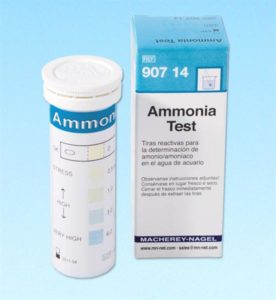 Test-de-amonio